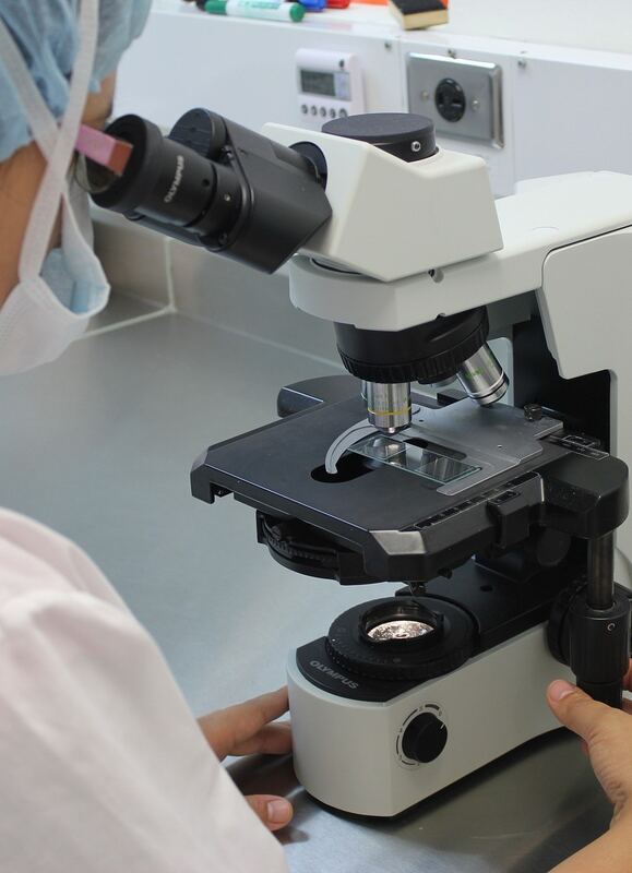 Validation scientifique de la formation CFS