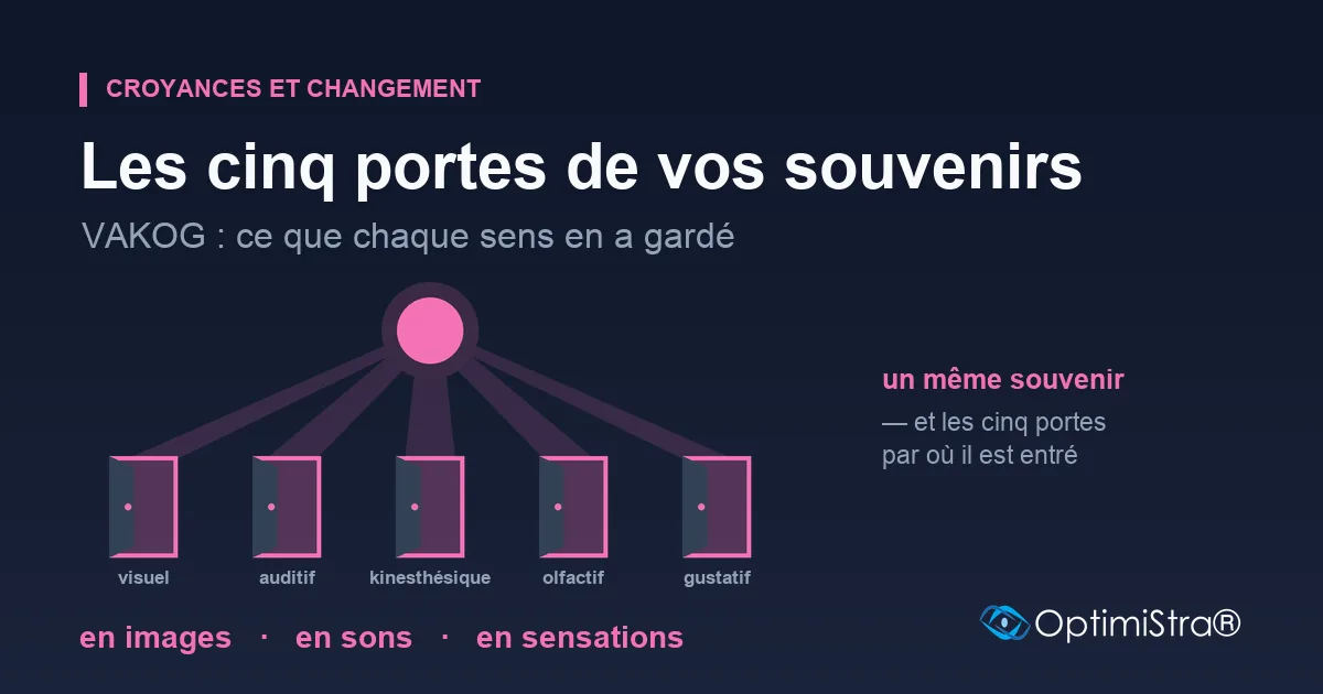 Cinq portes roses entrouvertes, alignées et légendées visuel, auditif, kinesthésique, olfactif et gustatif ; de chacune monte un faisceau, et les cinq se rejoignent sur un même disque rose, au-dessus d'elles.