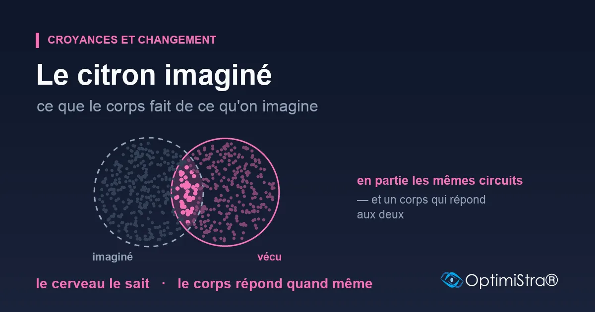 Deux disques se recouvrent en partie sur un fond sombre : à gauche, en pointillé gris, l'imaginé ; à droite, en trait plein rose, le vécu ; dans la zone commune, des points roses plus nets.