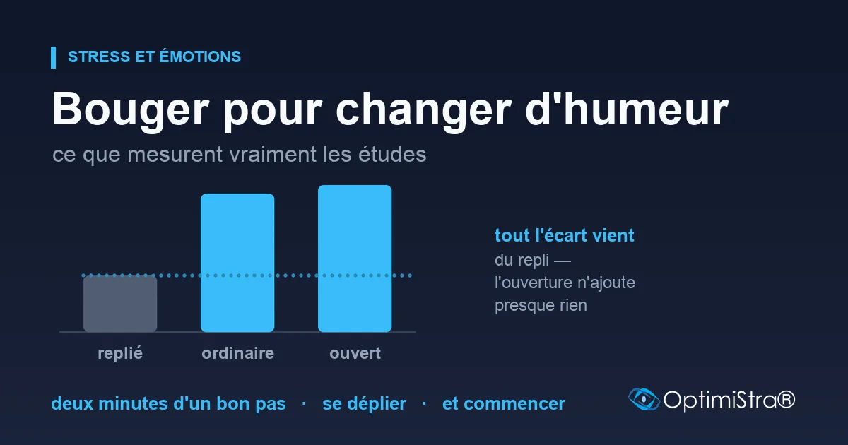 Trois barres côte à côte, « replié », « ordinaire » et « ouvert » : la première est nettement plus basse que les deux autres, qui sont presque à la même hauteur.