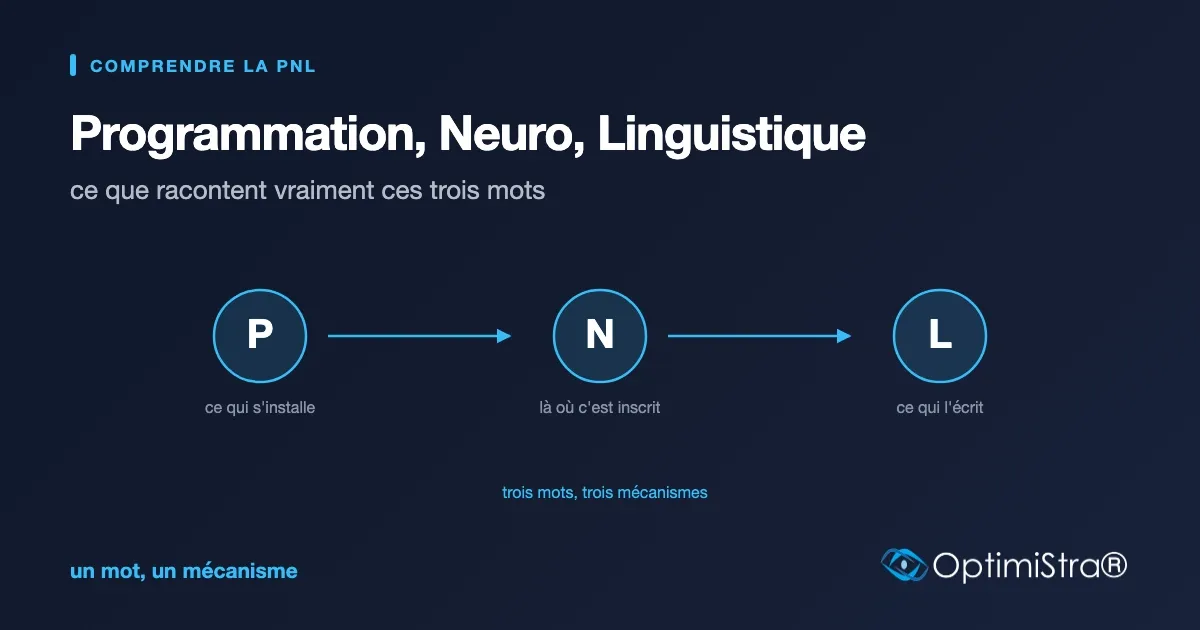 Trois cercles reliés par des flèches portant les lettres P, N et L avec ce que chacune désigne