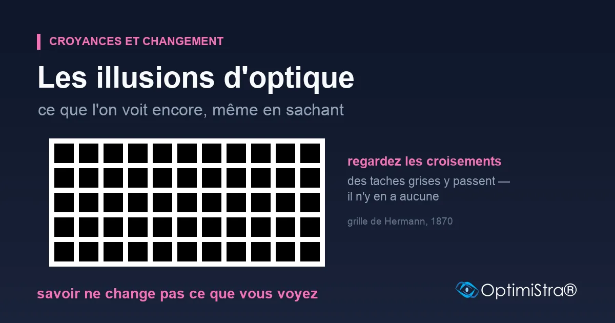 Une grille de carrés noirs séparés par des rues blanches, sur un fond bleu nuit ; aux croisements des rues, rien n'est dessiné, et la plupart des gens y voient pourtant passer des taches grises.